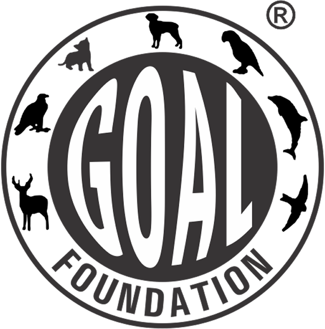 Goal Foundation